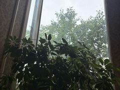 -康大鲤鱼门海鲜城·中餐厅