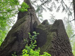 -峡谷浮石林景区