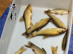 -丹江渔村(首都机场店)