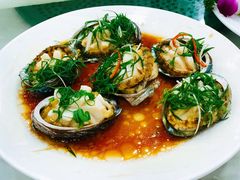 清蒸鲍鱼-四海之家(蛇口店)