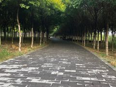 -西青郊野公园