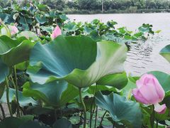 -南京邮电大学(仙林校区)