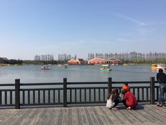 -上海长兴岛郊野公园