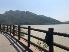 -羚羊峡古栈道森林公园