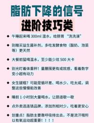 -Fundi张玉珊修身堂·indiba·BTL科技瘦身