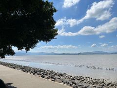-深圳湾公园(南山区)