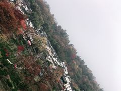 -塔川景区