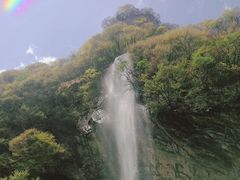 -少华山国家森林公园