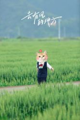 -童真童趣儿童摄影(乐清店)