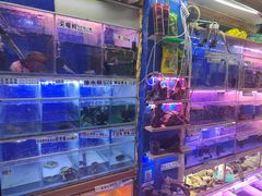 -山东柏宁水族批发广场