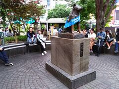 -涩谷区