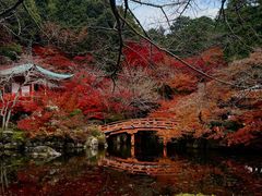 -醍醐寺