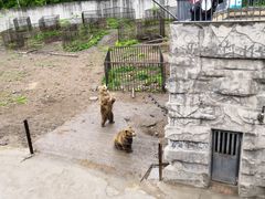 -哈尔滨北方森林动物园