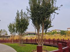 -西海子公园