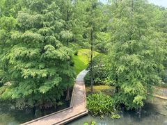 -云溪植物园