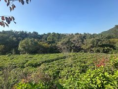 -昆嵛山石门里景区