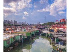 -北海金海湾红树林生态旅游区