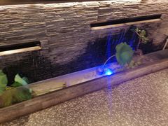 -大榕树下顺德菜(融创茂店)