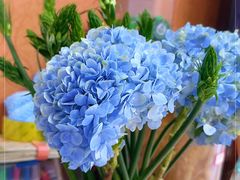 -春天来了(印象新天地店)