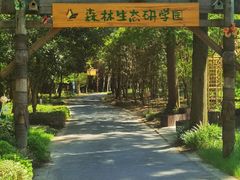 -东平国家森林公园