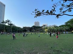 -东风公园