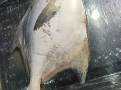 -浩运·海鲜青岛菜·海胆水饺(石老人店)