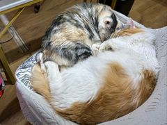 -牛汤哥慢熬牛肉汤(陶然亭店)