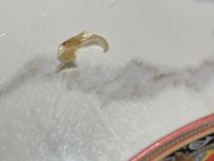 -巴依老爷新疆美食(常营店)
