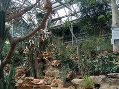 -国家植物园南园