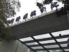 -同济大学附属同济医院分院