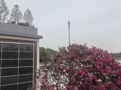 -上海望仙安息园