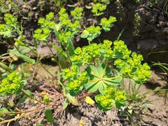 -漩门湾国家湿地公园