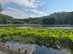 -福建鲤鱼洲酒店
