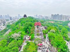 -黄鹤楼公园(黄鹤楼)