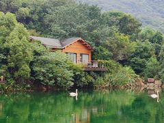 -杭州开元森泊度假乐园