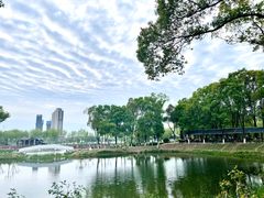 -金银湖国家城市湿地公园