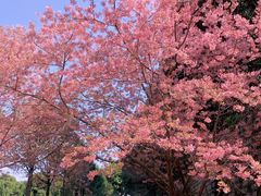 -福州大学(旗山校区)