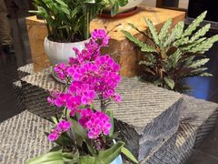 -黔蘑菇四季餐厅(观山湖店)