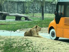 -北京野生动物园