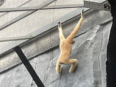 -武汉动物园