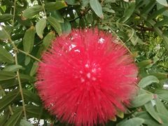 -北京植物园-展览温室