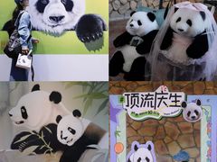 -宁波野生动物园