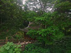 -雨花胜境