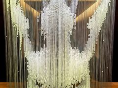 -丽晶轩中餐厅(重庆丽晶酒店)