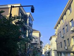 -龙坞茶村