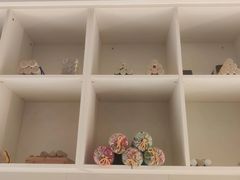 -莱蔻·圣灸堂·推拿艾灸(天山店)