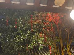 -三只耳火锅(宽窄巷子店)