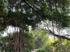 -乌山风景区