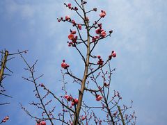 -白塘生态植物园