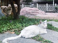 -晓港公园